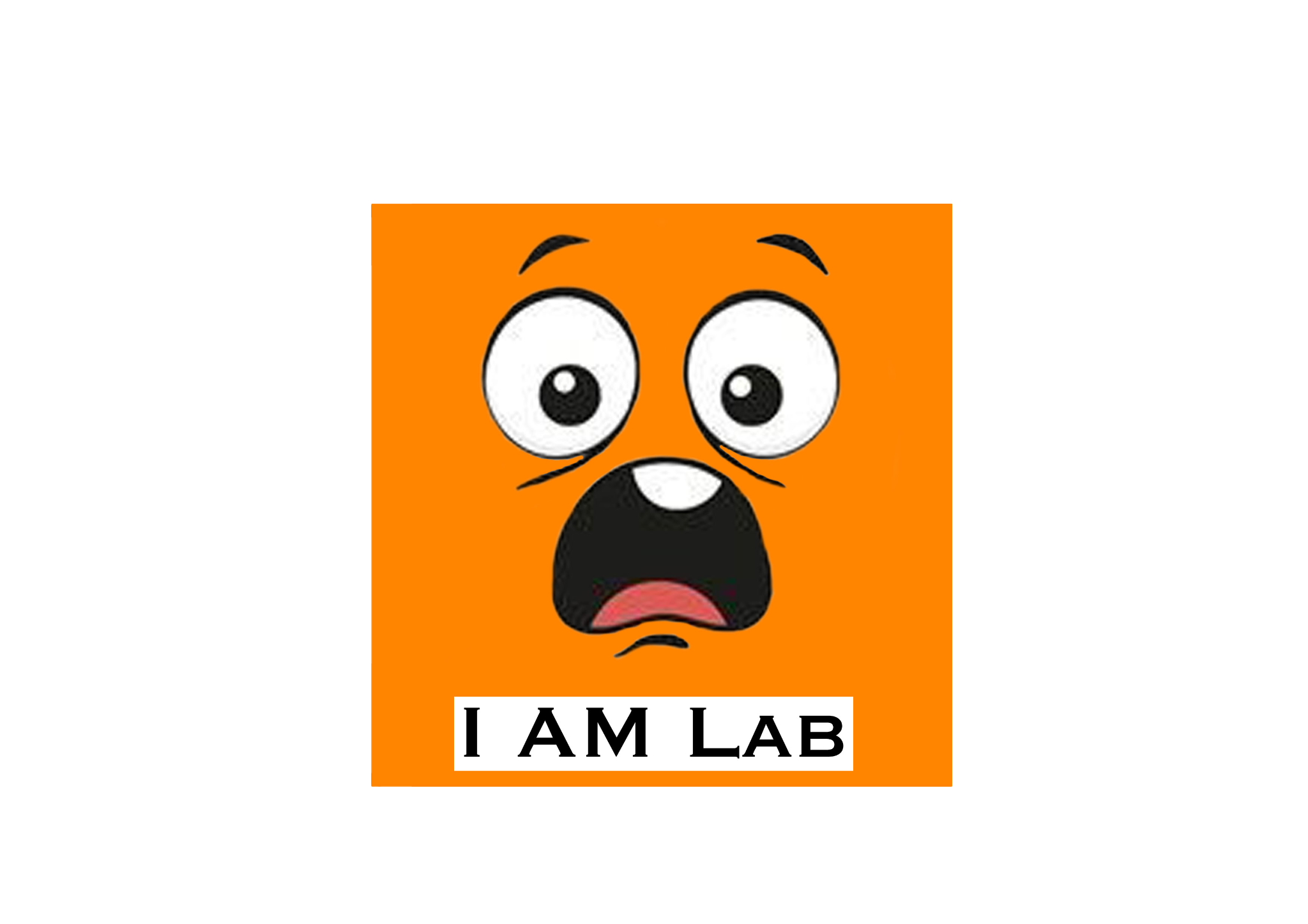 Animation lab participants